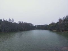 -东湖落雁景区