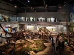 -自贡恐龙博物馆