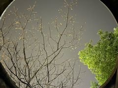 -长阳创谷