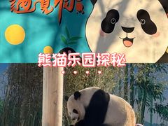 -秦皇岛野生动物园