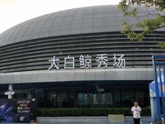 -芜湖新华联大白鲸海洋公园