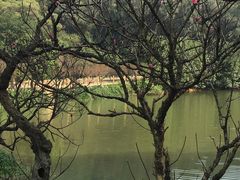 -南国桃园旅游度假区