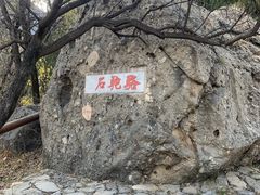 -阳台山自然风景区