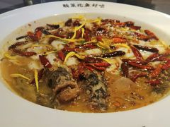 老坛子酸菜鱼-新太二·鲜料川菜(万泰汇店)