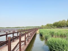 -西青郊野公园