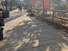 -青龙山国家森林公园
