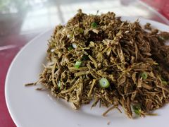 木兰（榄）芽-南窖乡水峪村山情农家