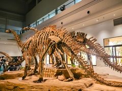 -自贡恐龙博物馆