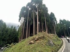 -太阳湾风景区