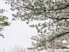 -白塘生态植物园
