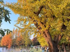 -南京银杏湖乐园