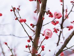 -北京鹫峰国家森林公园