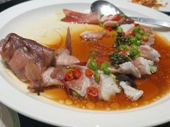 -曼格纳·曼芯馆(杨浦店)