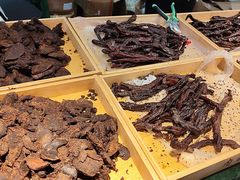 -宁波国际会展中心