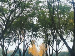 -重庆中央公园(渝北区)