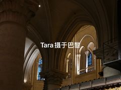 -巴黎圣母院
