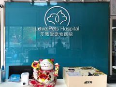 -乐派堂宠物医院·猫友好· 心脏科(东街店)