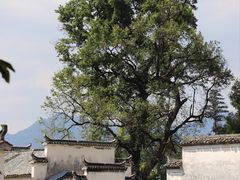 -塔川景区