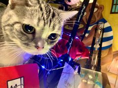 -咖法森林·咖啡  酒吧(天河店)