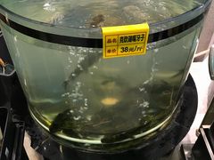 嘎牙子-营信刘罗锅铁锅炖(建华店)
