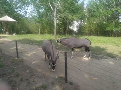 -大连森林动物园