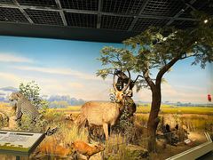 -陕西自然博物馆