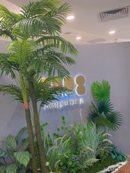 点击看大图 -八佰伴8008星级形象店