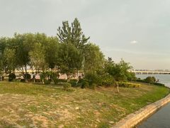 -丁香湖公园
