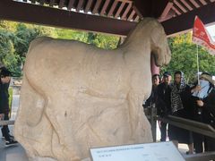 -茂陵博物馆