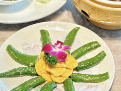 -陶缘一号·四季缘·老字号顺德菜·户外婚礼家宴(西滘店)