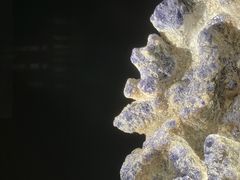 -深圳珠宝博物馆