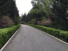 -长春市南湖公园