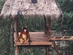 -云南野生动物园