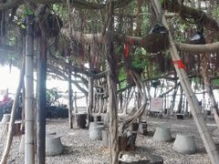 -胡里山炮台