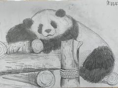 -祥云墅彩翼儿童美术馆(房山长阳店)