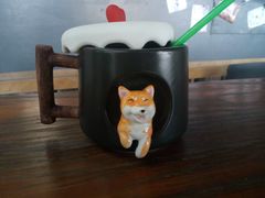 -柴犬高等学院·狗咖·柴犬售卖·宠物训练