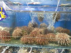 -小船渔村•大连菜•大连焖鱼(明泽街店)