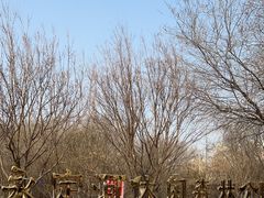 -永定河休闲森林公园