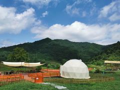 -照金香山旅游景区