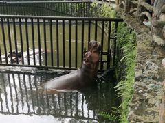 -海南热带野生动植物园
