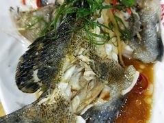 -四姑娘川味海鲜(八爪鱼店)