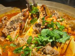 -张翻越·川渝冒菜·武汉黑鸭煲(城北万象城店)