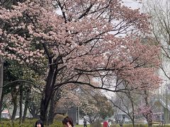 -糕大师•手作鲜糕点(滨湖万达店)