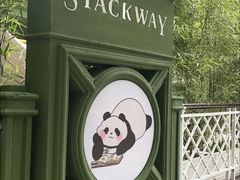 -轩客会(熊猫书店)
