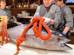 -炉胜·炉端烧·居酒屋