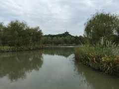 -梁鸿国家湿地公园