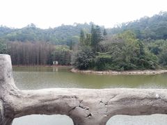 -滴水岩森林公园
