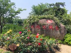 -鹅湖玫瑰文化园