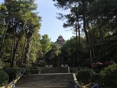 -东湖磨山景区