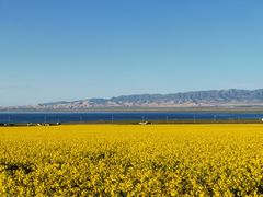 -青海湖国家重点风景名胜区